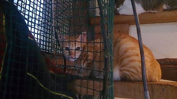 2014-02-08 11.15.39.jpg