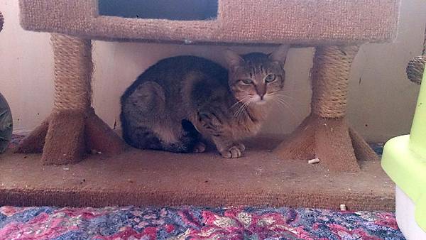 2014-02-08 13.34.44.jpg