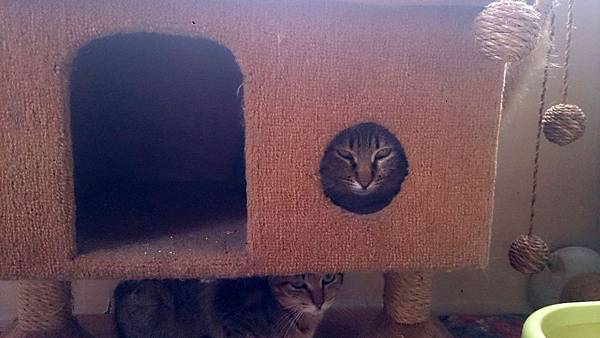 2014-02-08 13.34.54.jpg