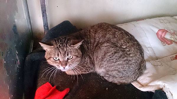 2014-02-08 13.35.31.jpg