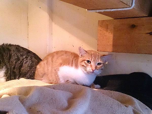 2014-02-08 13.35.41.jpg