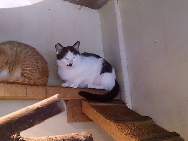 2014-02-08 13.35.54.jpg