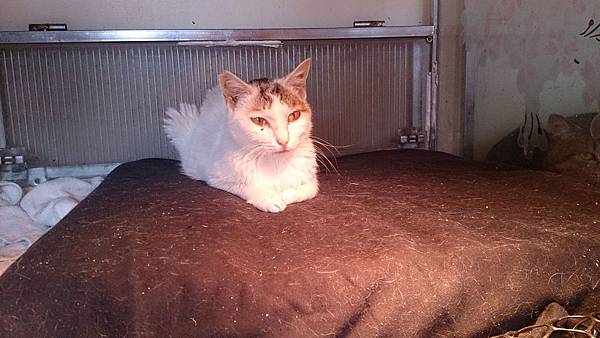 2014-02-08 13.36.15.jpg