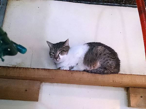 2014-02-08 13.37.50.jpg