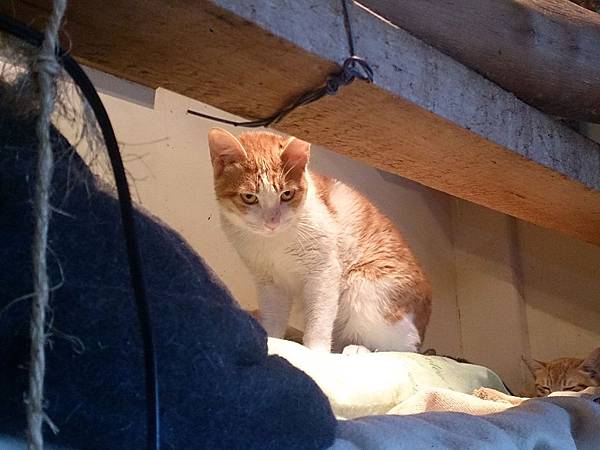 2014-02-08 13.47.29.jpg