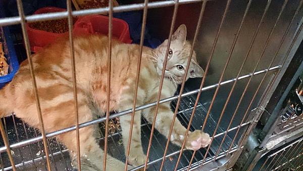 2014-03-08 10.40.05.jpg