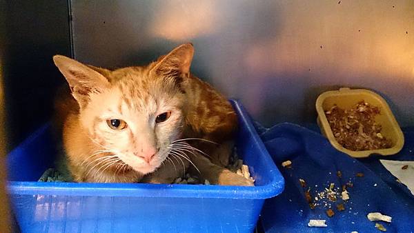 2014-03-08 13.36.07.jpg