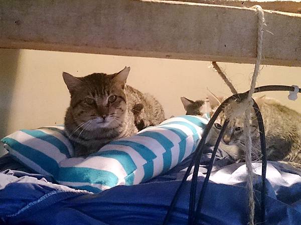 2014-03-08 10.23.49.jpg