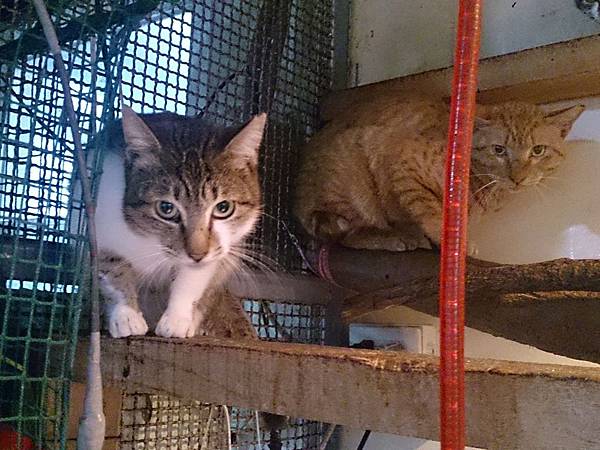 2014-03-08 10.24.02.jpg