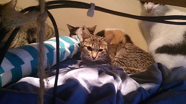 2014-03-08 10.24.14.jpg