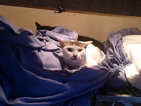 2014-03-08 10.24.24.jpg