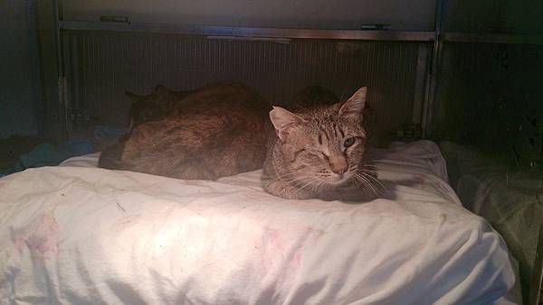 2014-03-08 10.24.53.jpg