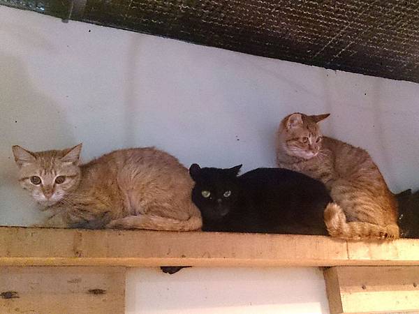 2014-03-08 10.25.20.jpg