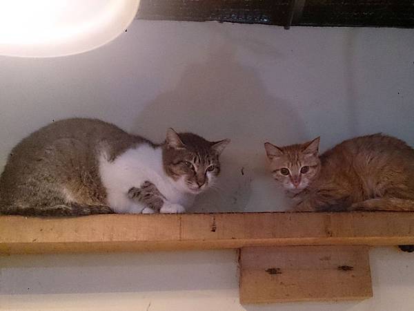 2014-03-08 10.25.24.jpg