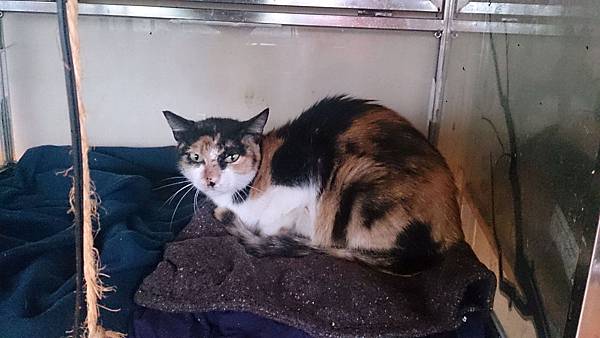 2014-03-08 10.28.52.jpg