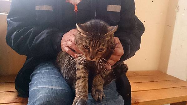 2014-03-08 10.33.24.jpg