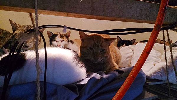 2014-03-08 13.37.01.jpg