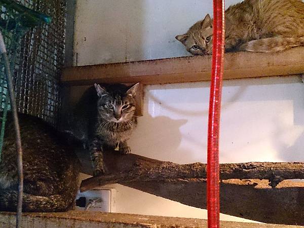 2014-03-08 13.37.10.jpg