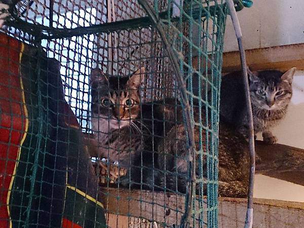 2014-03-08 13.37.14.jpg