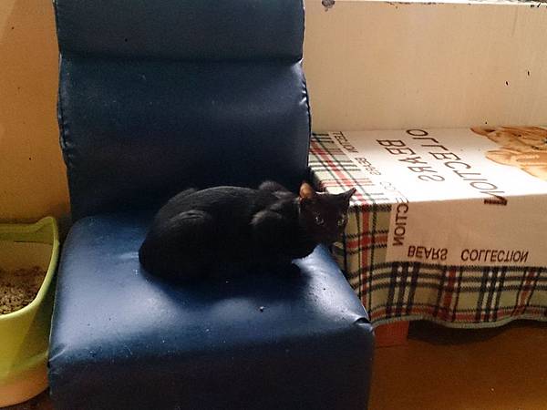 2014-03-08 13.37.27.jpg