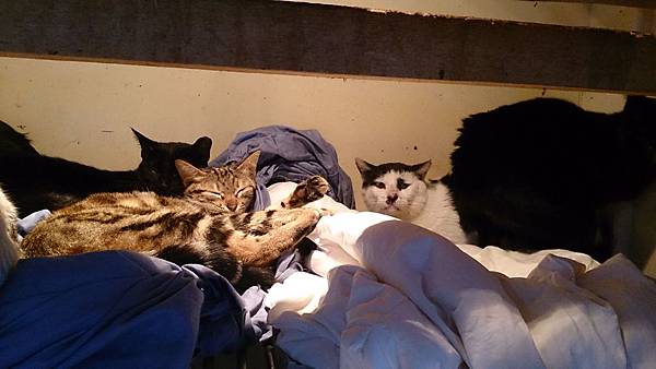 2014-03-08 13.38.38.jpg