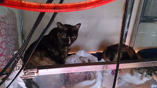 2014-03-08 13.49.47.jpg