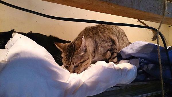 2014-03-08 14.05.03.jpg