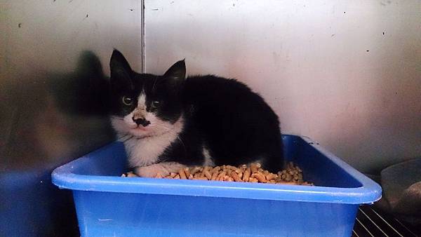 2014-03-22 11.00.29.jpg 2014-03-22 11.00.29.jpg