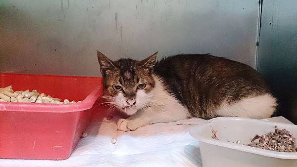 2014-03-22 11.00.55.jpg 2014-03-22 11.00.55.jpg