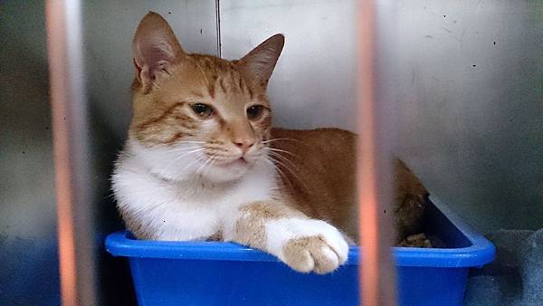 2014-03-22 11.01.55.jpg 2014-03-22 11.01.55.jpg