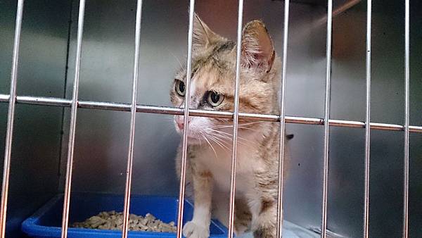 2014-03-22 11.02.30.jpg 2014-03-22 11.02.30.jpg