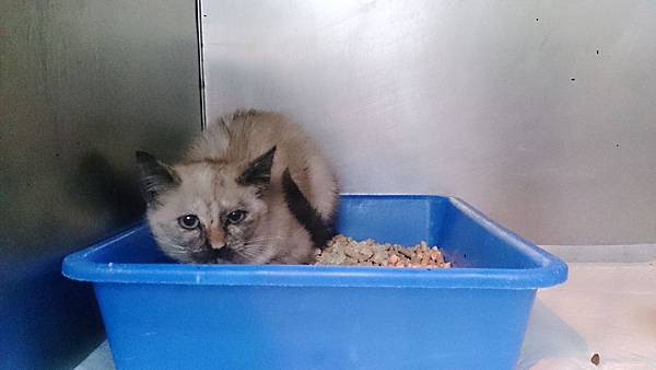 2014-03-22 11.02.52.jpg 2014-03-22 11.02.52.jpg