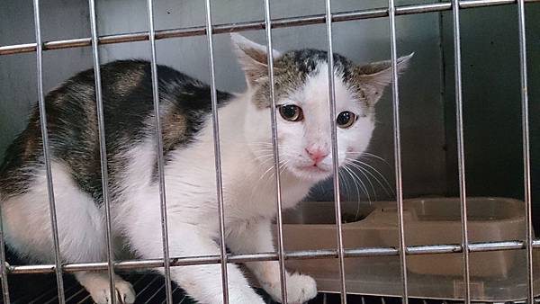 2014-03-22 11.03.14.jpg 2014-03-22 11.03.14.jpg