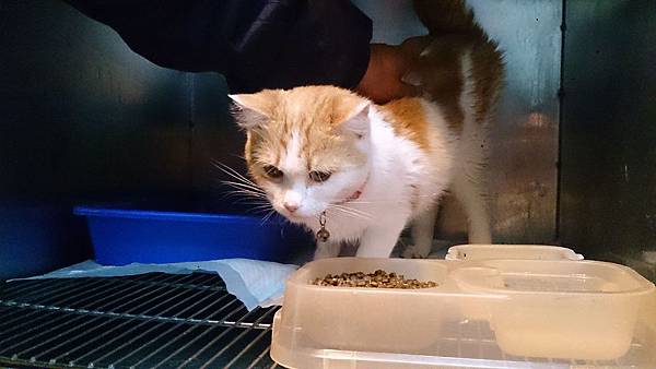 2014-03-22 11.04.18.jpg 2014-03-22 11.04.18.jpg