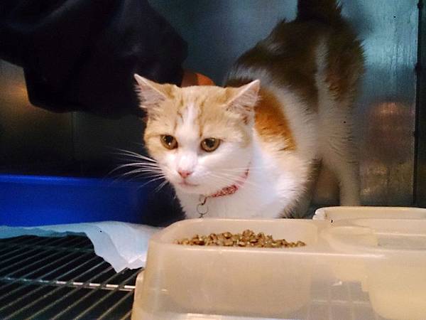 2014-03-22 11.04.26.jpg 2014-03-22 11.04.26.jpg