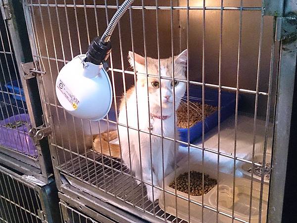 2014-03-22 11.18.01.jpg 2014-03-22 11.18.01.jpg