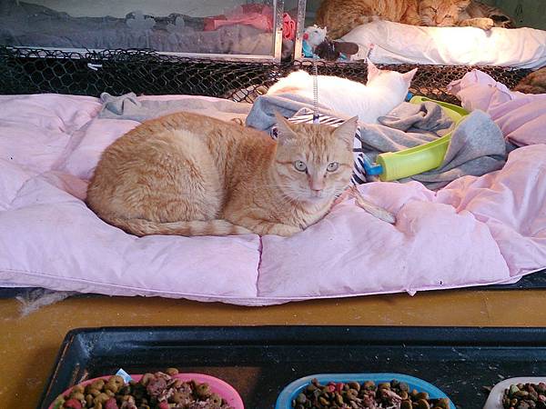 2014-03-22 11.05.55.jpg 2014-03-22 11.05.55.jpg