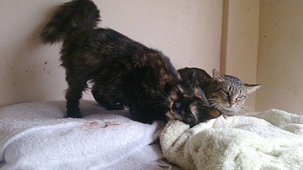 2014-03-22 11.06.14.jpg 2014-03-22 11.06.14.jpg