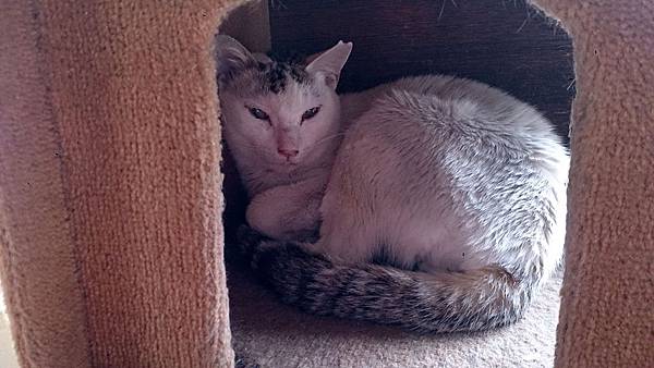 2014-03-22 11.06.29.jpg 2014-03-22 11.06.29.jpg