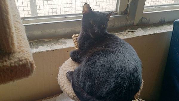 2014-03-22 11.06.31.jpg 2014-03-22 11.06.31.jpg