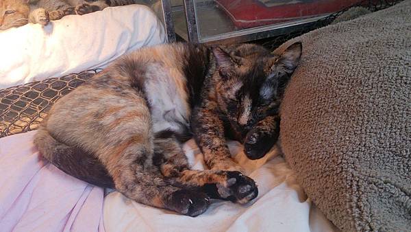 2014-03-22 11.07.02.jpg 2014-03-22 11.07.02.jpg