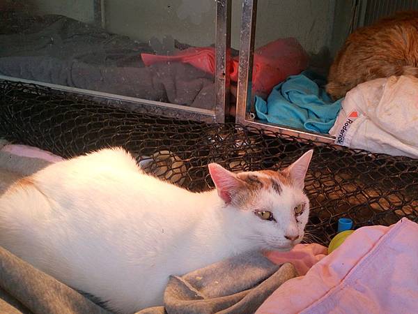 2014-03-22 11.07.09.jpg 2014-03-22 11.07.09.jpg