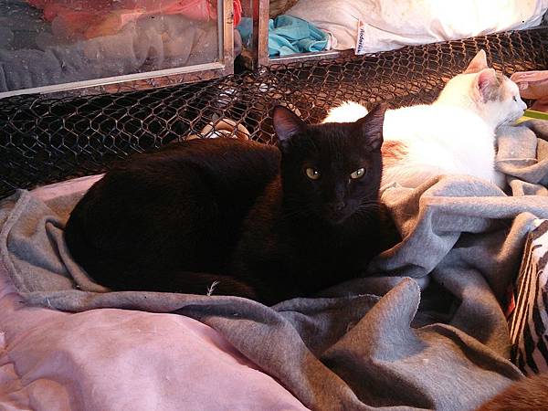 2014-03-22 11.07.33.jpg 2014-03-22 11.07.33.jpg