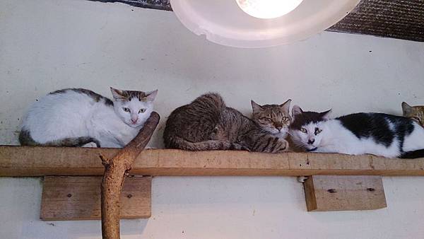 2014-03-22 11.08.03.jpg 2014-03-22 11.08.03.jpg