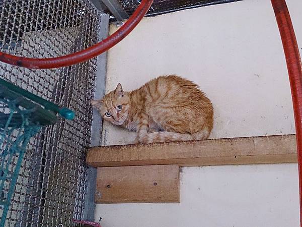 2014-03-22 11.08.07.jpg 2014-03-22 11.08.07.jpg