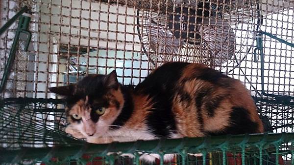 2014-03-22 11.08.16.jpg 2014-03-22 11.08.16.jpg