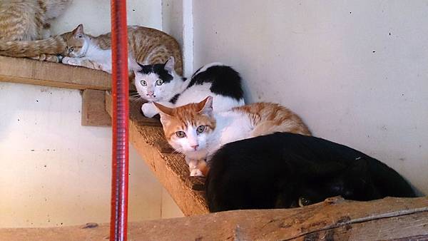 2014-03-22 11.10.20.jpg