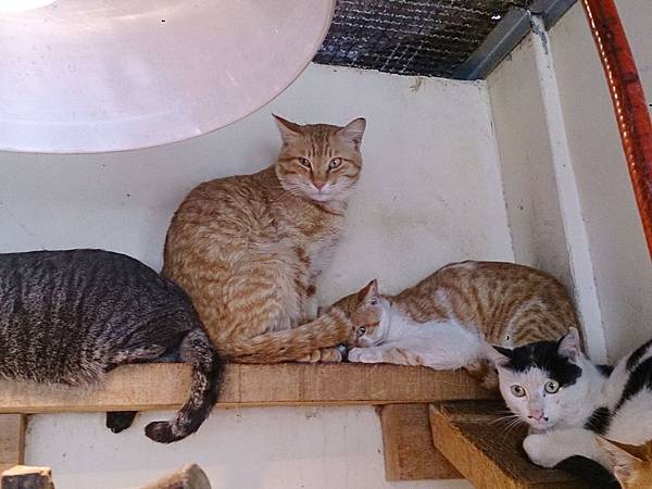 2014-03-22 11.10.23.jpg 2014-03-22 11.10.23.jpg