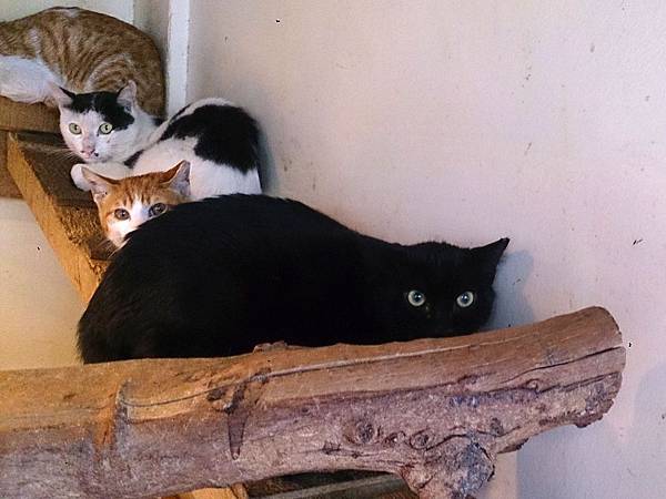 2014-03-22 11.11.14.jpg 2014-03-22 11.11.14.jpg