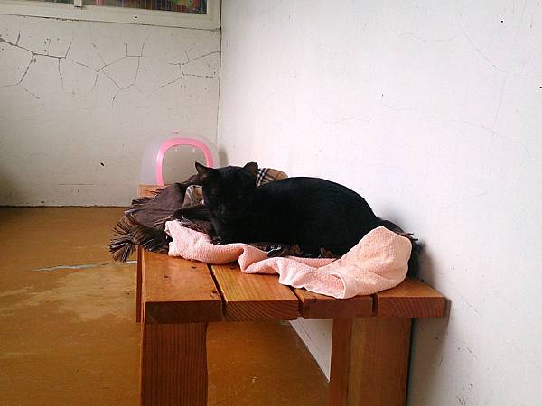 2014-03-22 11.11.52.jpg 2014-03-22 11.11.52.jpg